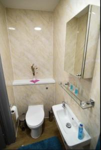 a bathroom with a toilet and a sink and a mirror at London Suite in London