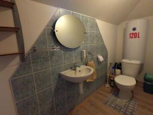 ein Badezimmer mit einem Waschbecken, einem WC und einem Spiegel in der Unterkunft Zátoň č.15 in Lenora