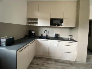 Eldhús eða eldhúskrókur á Apartmán LUEL