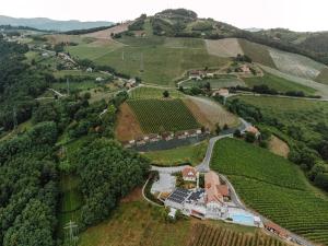 an aerial view of a vineyard in the hills at Tri lučke Hotel & Restaurant in Krško