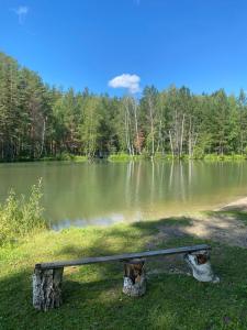 Billede fra billedgalleriet på Forest and Lake i Borovoje