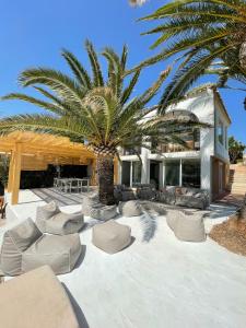 um pátio com cadeiras e uma palmeira em frente a uma casa em Villa Mar em El Campello