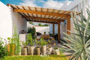 een patio met potplanten en een houten pergola bij Casa Blanca in Galinhos