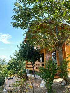 a log cabin with a tree in front of it at Peaceful Oasis in Ulcinj