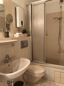 ein Badezimmer mit Waschbecken, Toilette und Dusche in der Unterkunft Fewo Lotte in Goslar