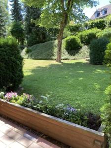 einen Garten mit ein paar Blumen im Hof in der Unterkunft Fewo Lotte in Goslar