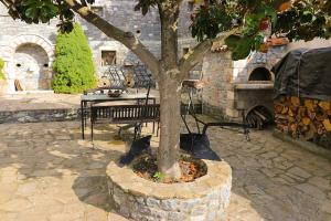 un banco sentado junto a un árbol en un patio en Magnolia Traditional Stone House in Vamvakou en Vamvakoú