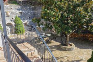 A garden outside Magnolia Traditional Stone House in Vamvakou
