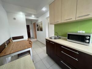 Virtuvė arba virtuvėlė apgyvendinimo įstaigoje Cluj Napoca Apartament Lux Cuza Voda