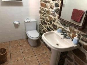 een badkamer met een toilet en een wastafel bij Casa do Hiebra Alojamiento Rural Ribeira Sacra 