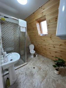 a bathroom with a white sink and a toilet at Liniștea Muntilor Cartioasra in Cîrţişoara +58 photos