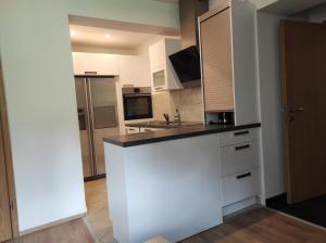 Kuchyň nebo kuchyňský kout v ubytování Apartma Jelendol + 11 fotografií