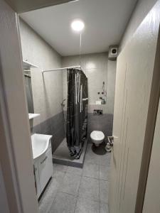 Apartmani Nikolić tesisinde bir banyo