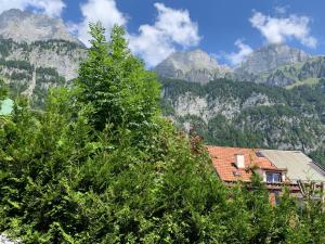 une maison avec des arbres et des montagnes en arrière-plan dans l'établissement BnB Blockhausfeeling, à Walenstadtberg