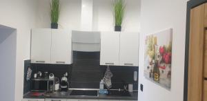 A kitchen or kitchenette at Apartamenty Rynek R