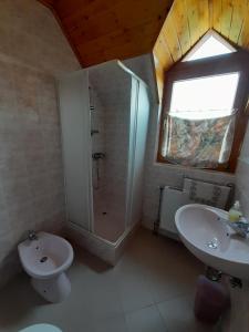 une salle de bain avec un lavabo, une douche et des toilettes dans l'établissement Ilona Vendégház Balatonszabadi, à Balatonszabadi 23 autres photos