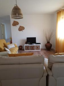 a living room with a couch and a tv at Monte das Flores Casa de Campo 