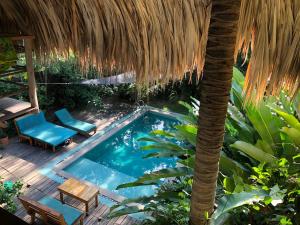 a swimming pool with a palm tree and a chair at casa kashiikaii in Palomino