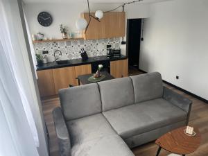 salon z kanapą i stołem w obiekcie Apartamenty Nadrzeczna 14 w mieście Karpacz
