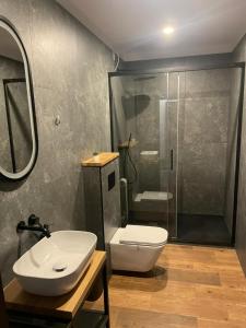 ein Bad mit einem WC, einem Waschbecken und einer Dusche in der Unterkunft Apartamenty Nadrzeczna 14 in Karpacz