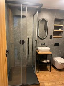a glass shower in a bathroom with a sink at Apartamenty Nadrzeczna 14 in Karpacz