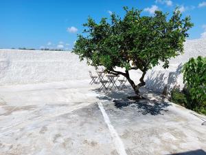 Fotografie z fotogalerie ubytování Ilary's Rooms v destinaci Marsala