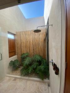 Fotografie z fotogalerie ubytování Piña Coloradas Ecolodge v destinaci Yuluc