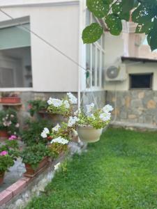Zahrada ubytování Sofis Garden