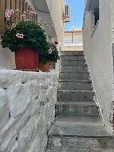 Fotografie z fotogalerie ubytování Sofis Garden v destinaci Kavala