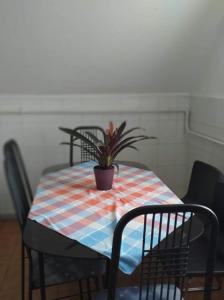 einen Tisch mit einer Topfpflanze darüber in der Unterkunft Malomtavi Vendégház in Tapolca