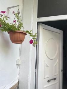 Fotografie z fotogalerie ubytování Sofis Garden v destinaci Kavala