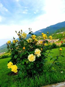 Paesaggio naturale nelle vicinanze del bed & breakfast