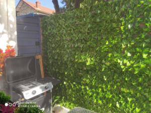 una barbacoa frente a un seto verde en Orly Pico studio, en Choisy-le-Roi