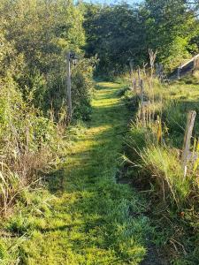 Afbeelding uit fotogalerij van Skogsbäckens stugby AB in Tomelilla +42 foto's