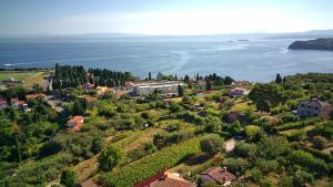 an aerial view of a small town on a hill next to the water at bellavista appartment in Piran