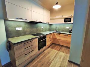 Kuchyňa alebo kuchynka v ubytovaní Apartmány Říčky II.