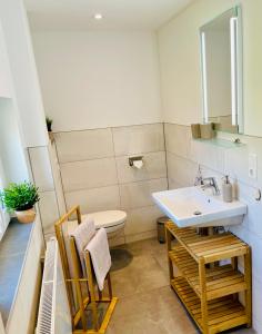 a bathroom with a sink and a toilet at FeWo - Bergblick in Klingenthal +25 photos