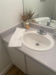 um balcão de casa de banho com um lavatório e um espelho em Red Hen Rental - 2 bed with 1 FULL bath 1 HALF bath FULL Kitchen em Cedar City
