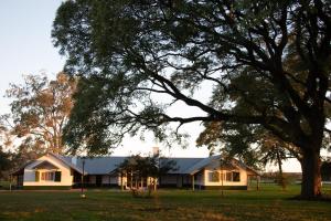 a house in the middle of a field with a tree at Estancia San Agustin in Curuzú Cuatiá