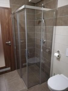 Kúpeľňa v ubytovaní Apartmány Říčky II.
