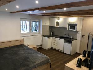 Kitchen o kitchenette sa Chalupa pod sjezdovkou