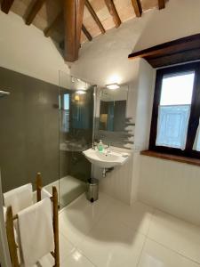 W łazience znajduje się umywalka i przeszklony prysznic. w obiekcie Agriturismo Podere Casella w mieście Castiglione dʼOrcia