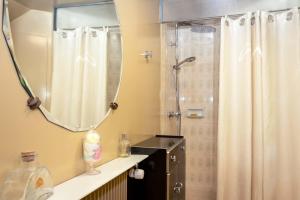 a bathroom with a shower and a mirror at La maison de Michel in Beauvais