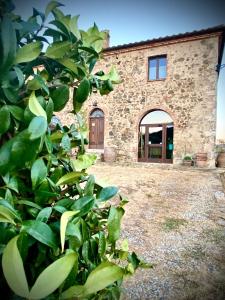 kamienny budynek z drzwiami i krzakiem w obiekcie Agriturismo Podere Casella w mieście Castiglione dʼOrcia