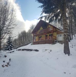 une cabane en rondins dans la neige à côté d'un arbre dans l'établissement Cabana ''langa brad'', à Cavnic
