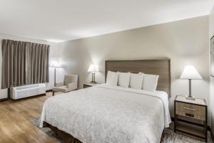 Postel nebo postele na pokoji v ubytování Red Roof Inn PLUS+ Dallas - Addison