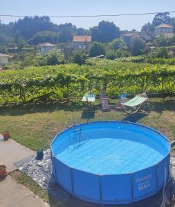 una piscina azul en un jardín con un viñedo en Casa do Lucio, en Rianjo