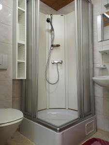 a shower with a glass door in a bathroom at Pension Schlager Taxerhof in Bad Hofgastein