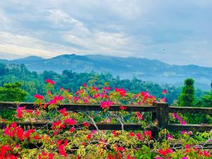 a bunch of flowers on a fence with mountains in the background at Elegant Hotel, Kandy in Kandy +80 photos