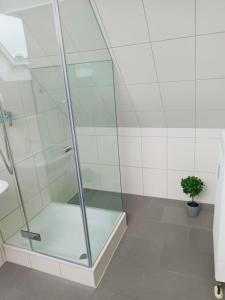 a glass shower in a bathroom with a potted plant at ND Hotels & Apartments Bottrop am Centro in Bottrop